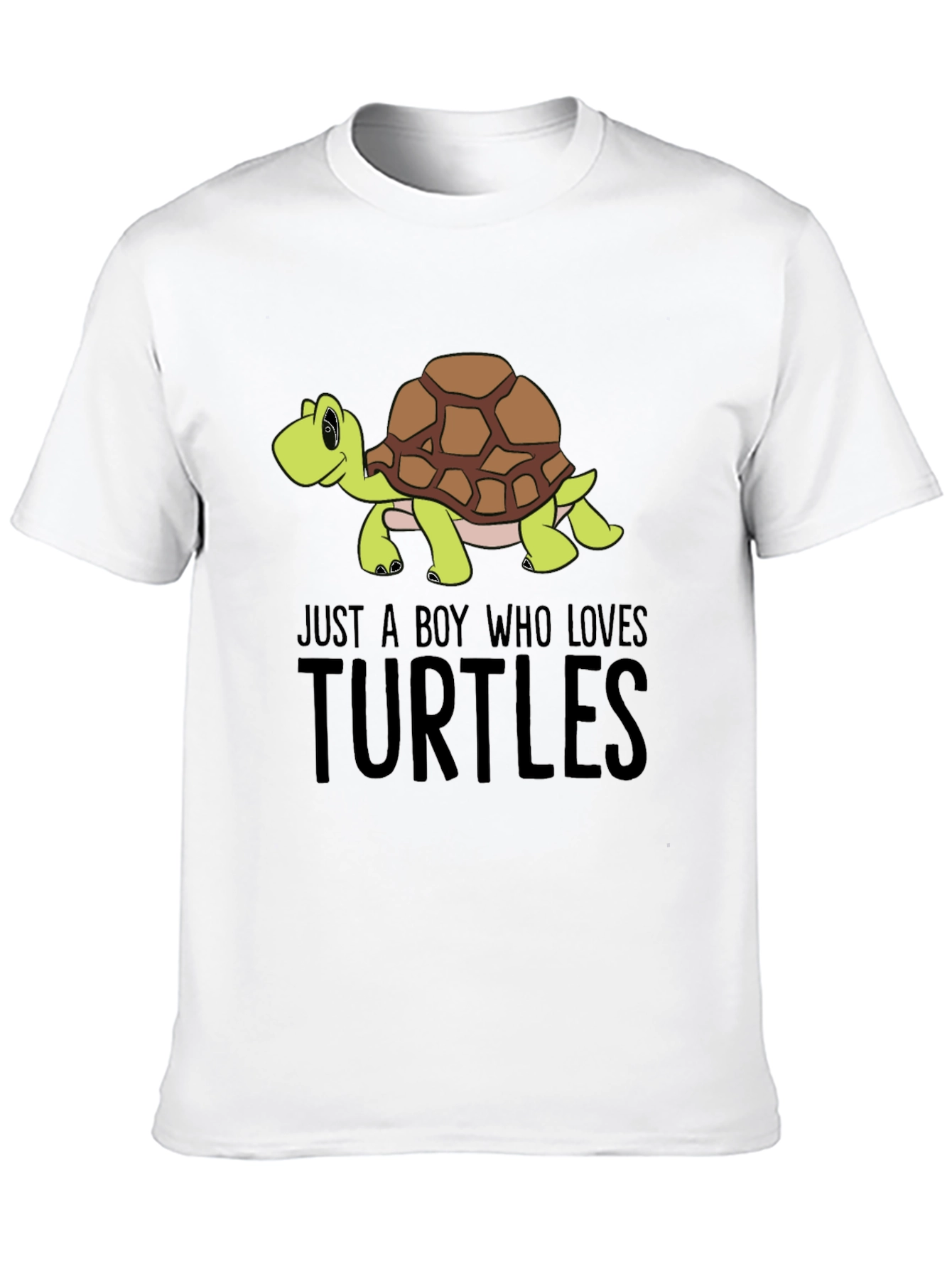 Boys Just a Boy Who Loves Turtles T-Shirt