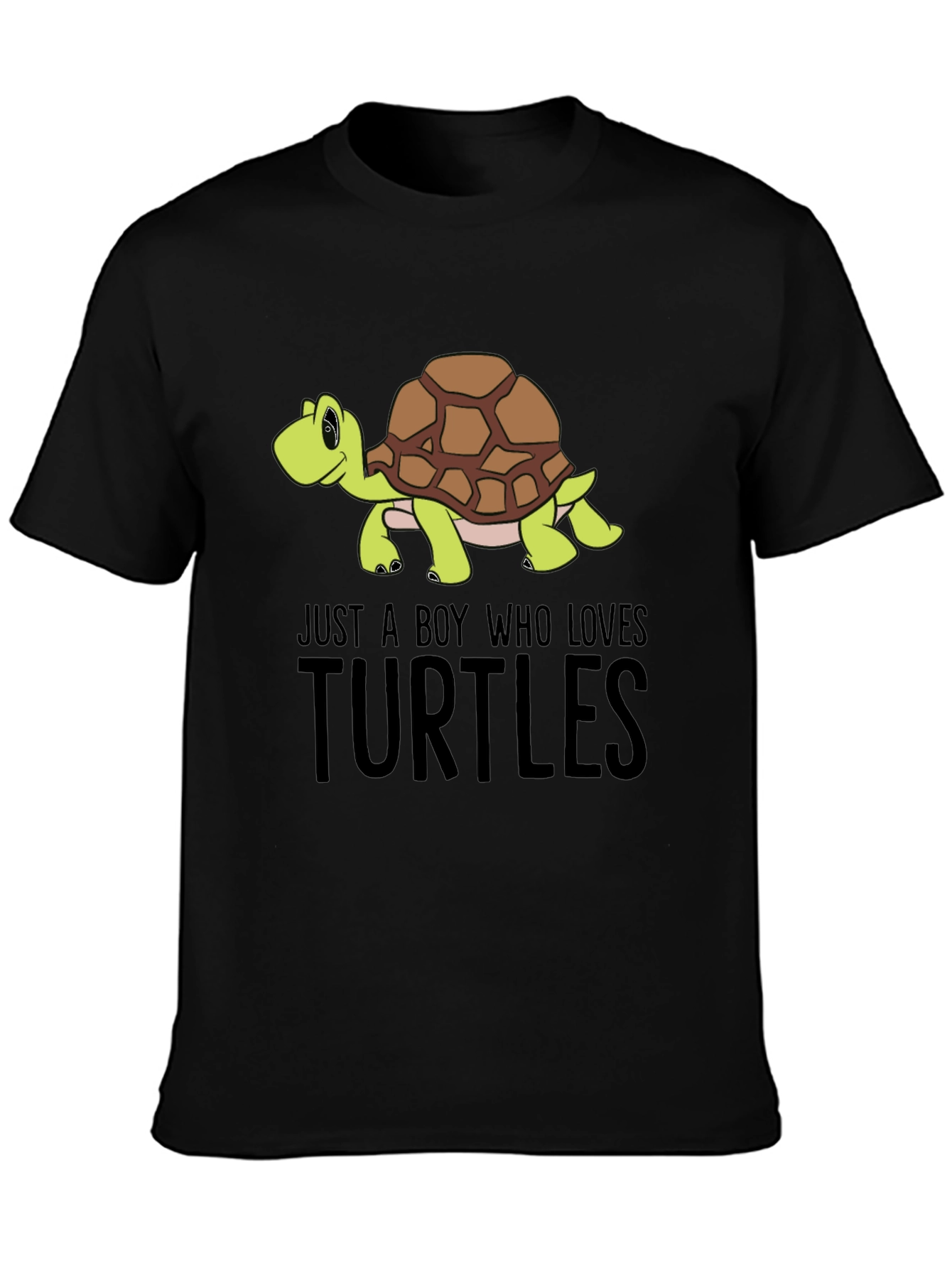 Boys Just a Boy Who Loves Turtles T-Shirt