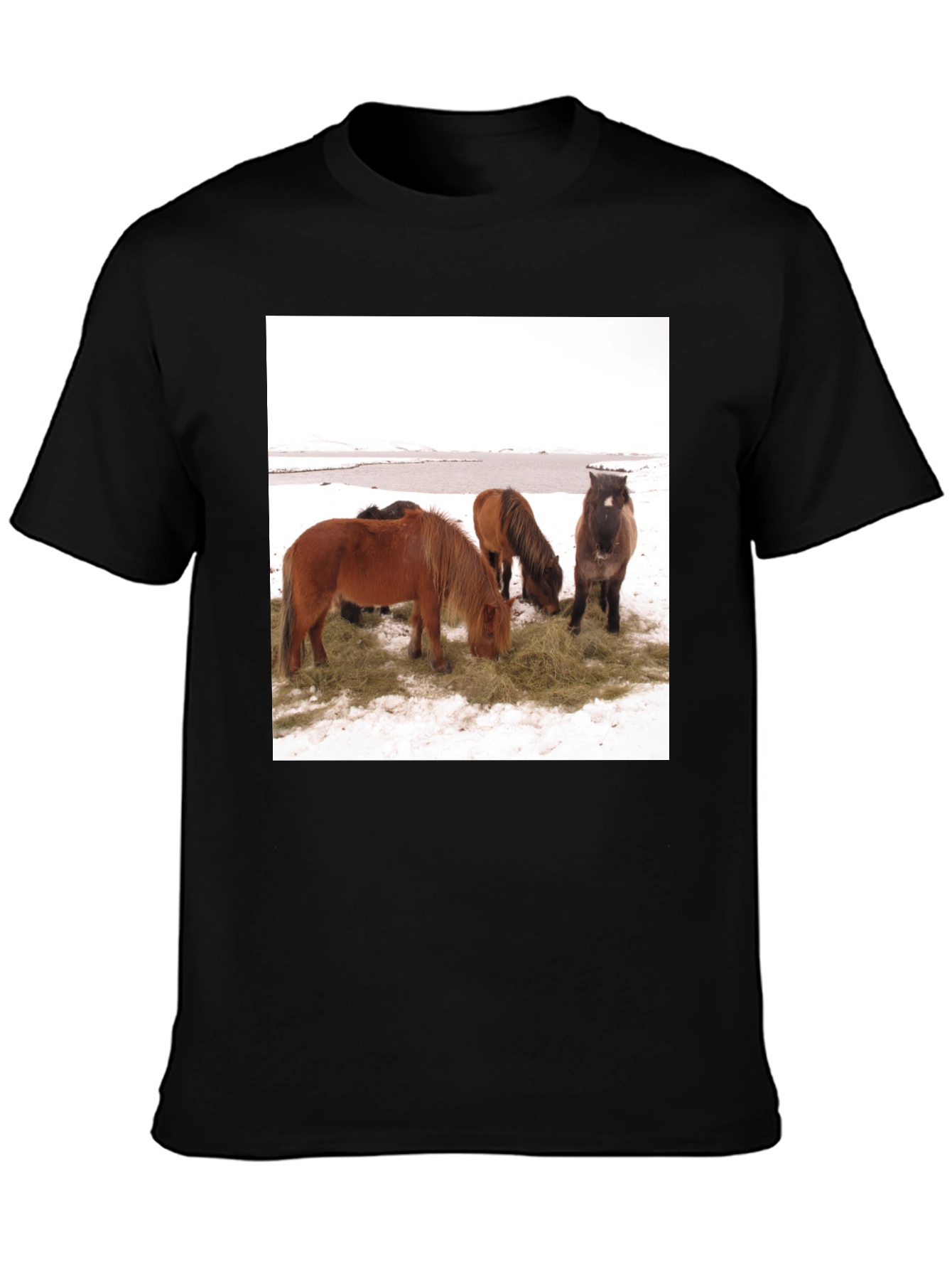 Horse Scene Graphic Tee - Unisex Black T-Shirt