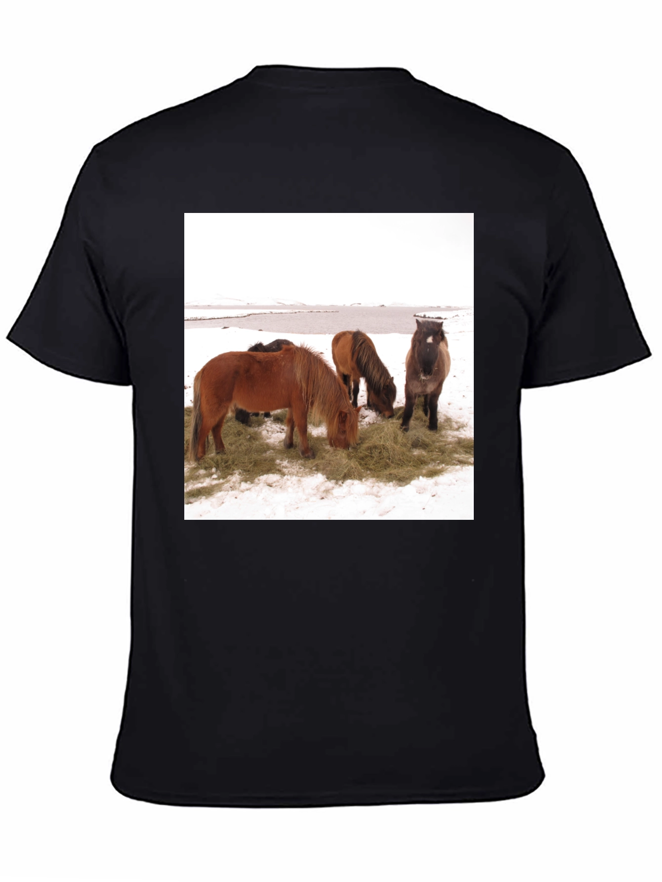 Horse Scene Graphic Tee - Unisex Black T-Shirt