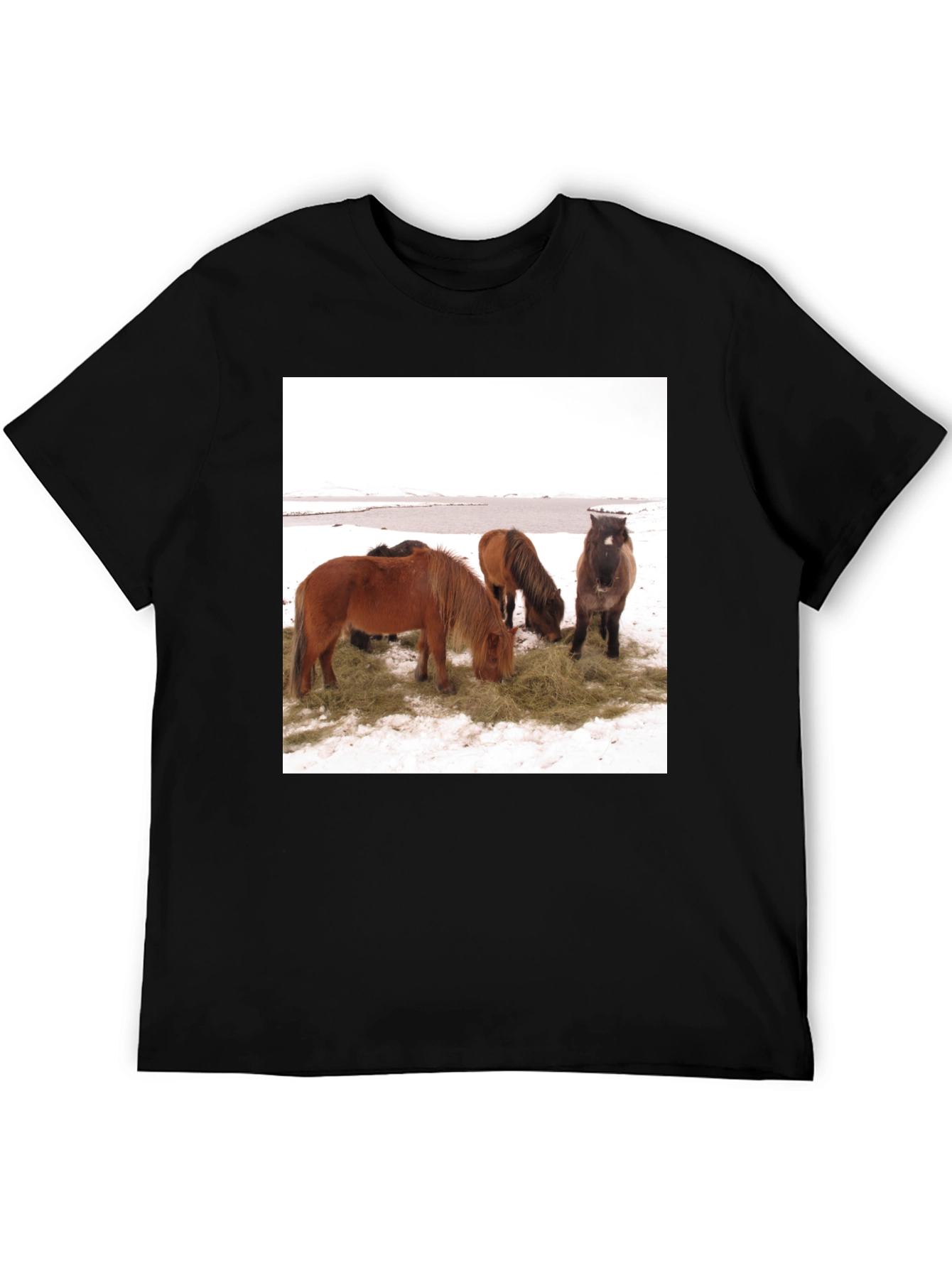 Horse Scene Graphic Tee - Unisex Black T-Shirt