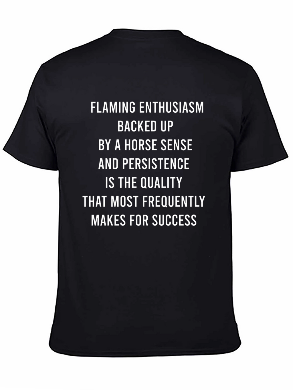 Enthusiasm & Horse Sense Success T-Shirt