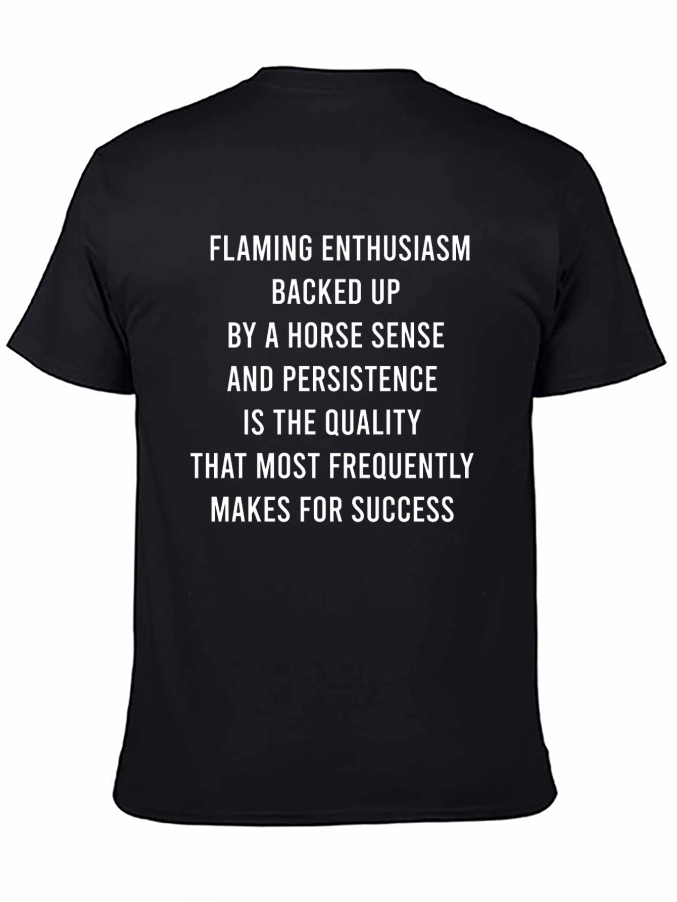 Enthusiasm & Horse Sense Success T-Shirt