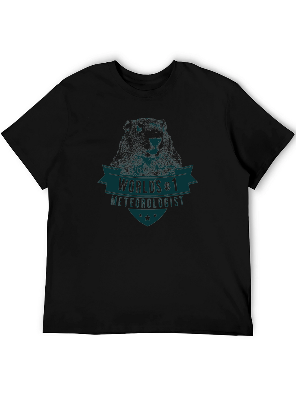 Worlds #1 Meteorologist Graphic T-Shirt