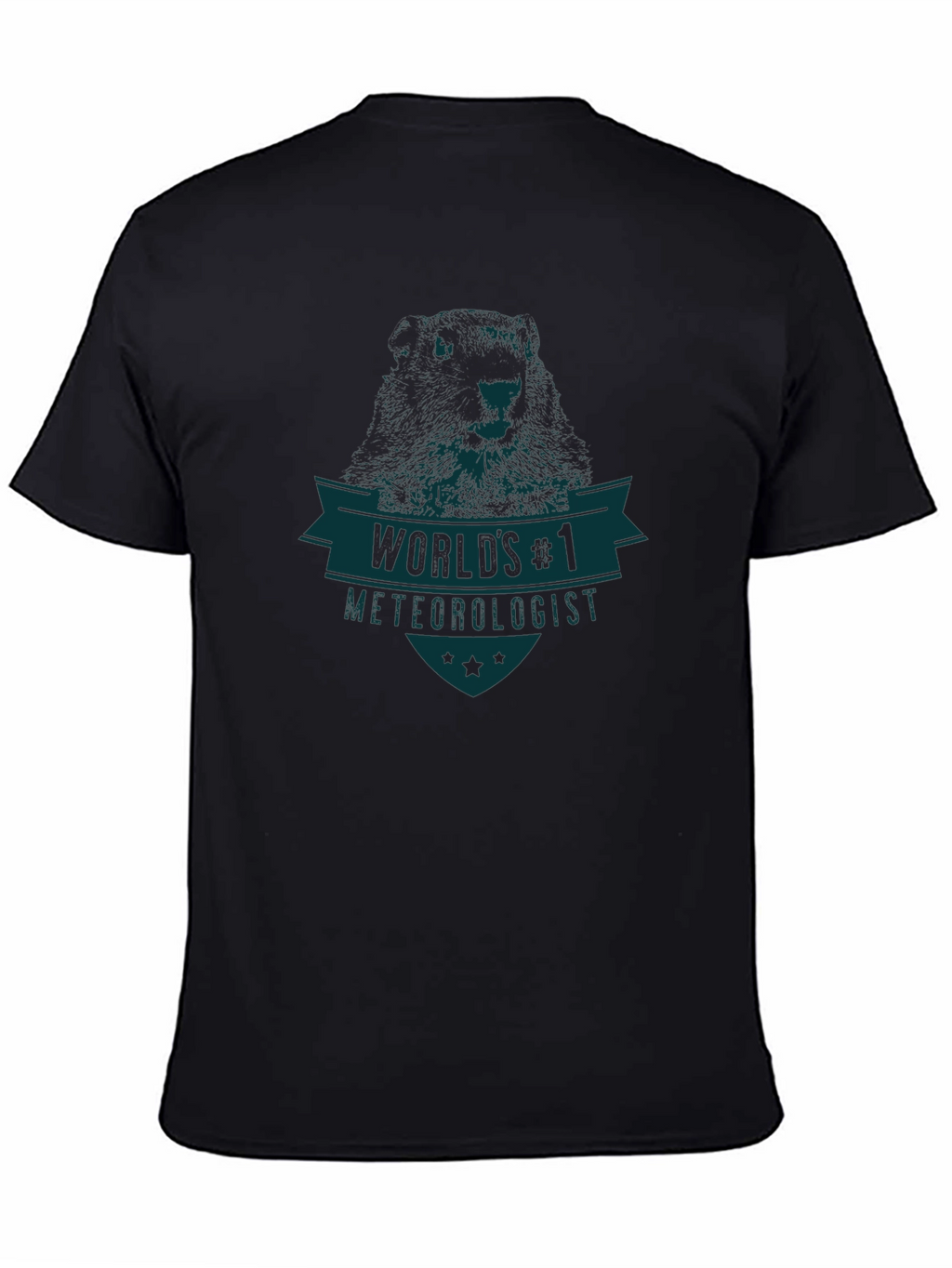 Worlds #1 Meteorologist Graphic T-Shirt