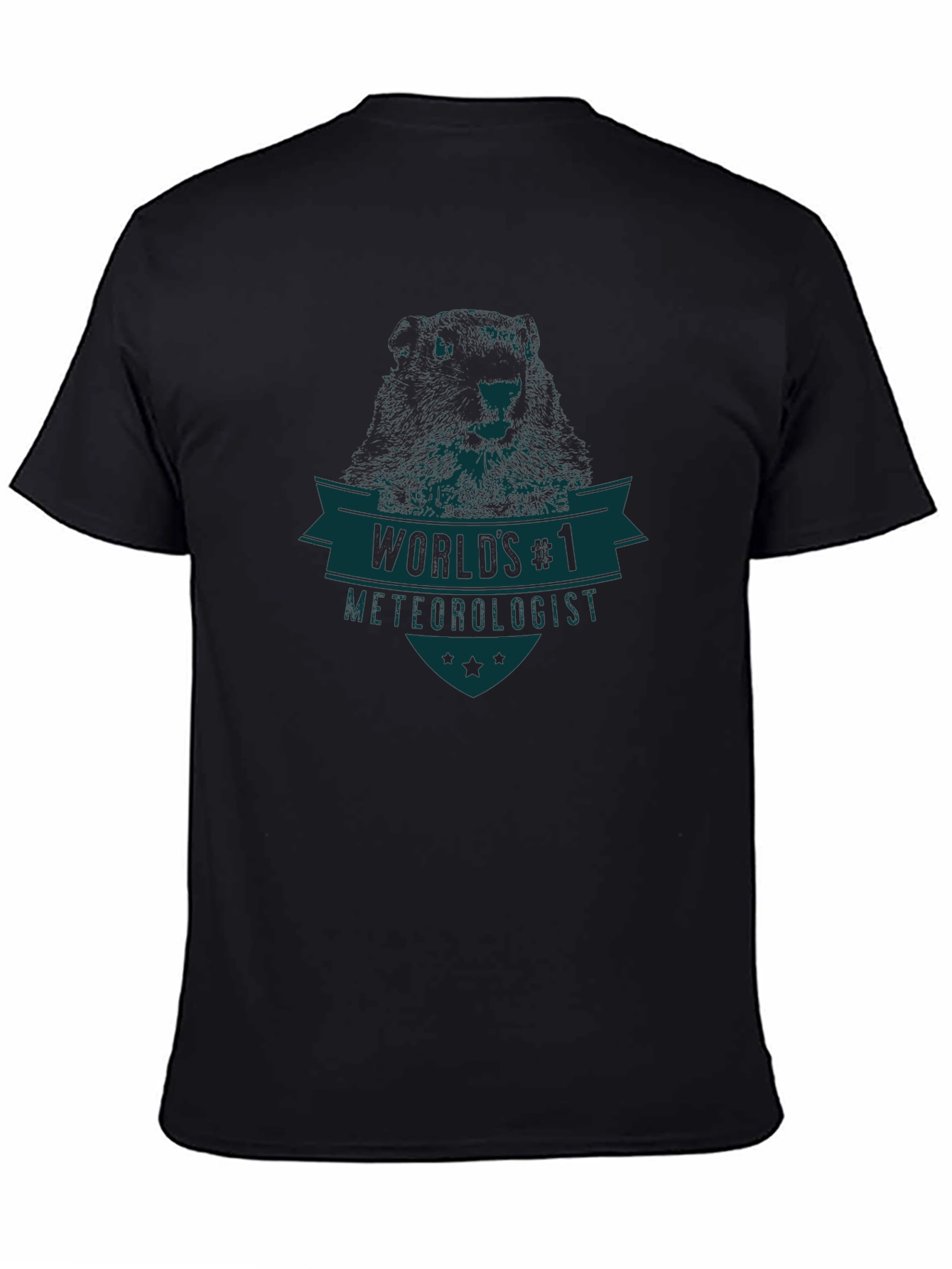 Worlds #1 Meteorologist Graphic T-Shirt