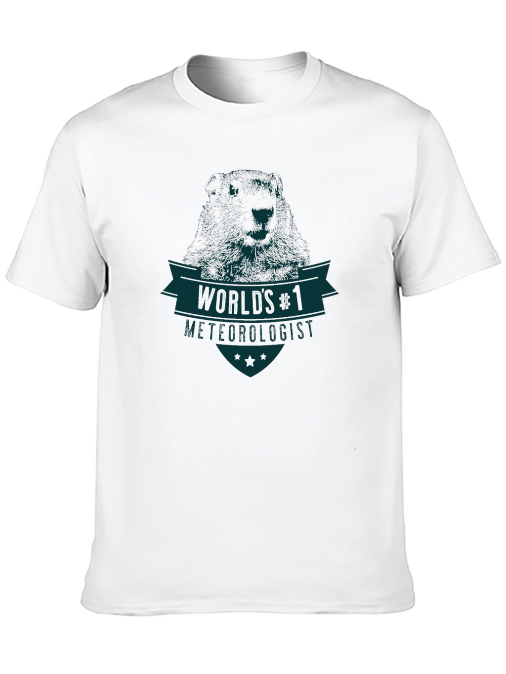 Worlds #1 Meteorologist Graphic T-Shirt